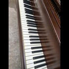 Steinway & Sons Model M Grand Piano – Mahogany – Signed by Fritz Kreisler — photo 6