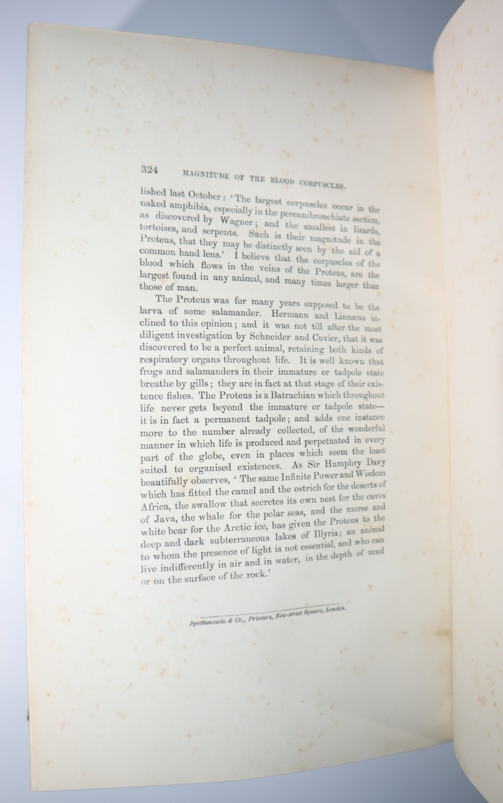 1876 Notes and Reminiscences on My Life as an Angler HENDERSON Large Paper Copy