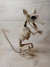 New Halloween Skeleton RAT Rodent Decor Novelty Bones Spooky 11" Decoration Fall