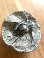 gro&szlig;er  Dicranurus monstrosus Tribolit  Devon verm.  Marokko ca. 7,5 x 8, 5 cm