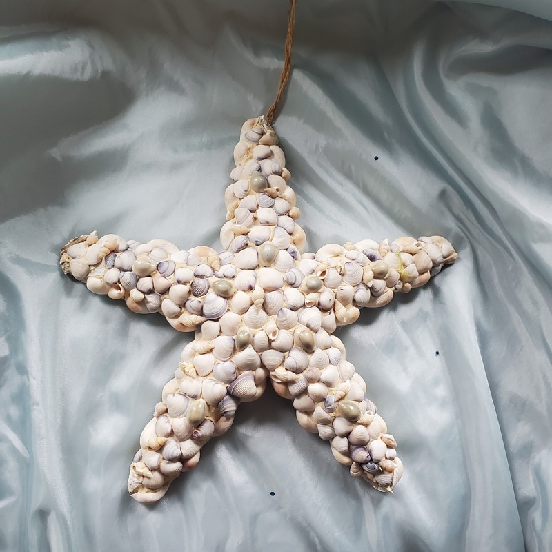 Seashell 12 in. star hanging ornament