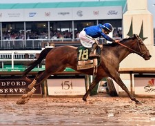 2025 Sovereignty Kentucky Derby Winner 8X10 G...