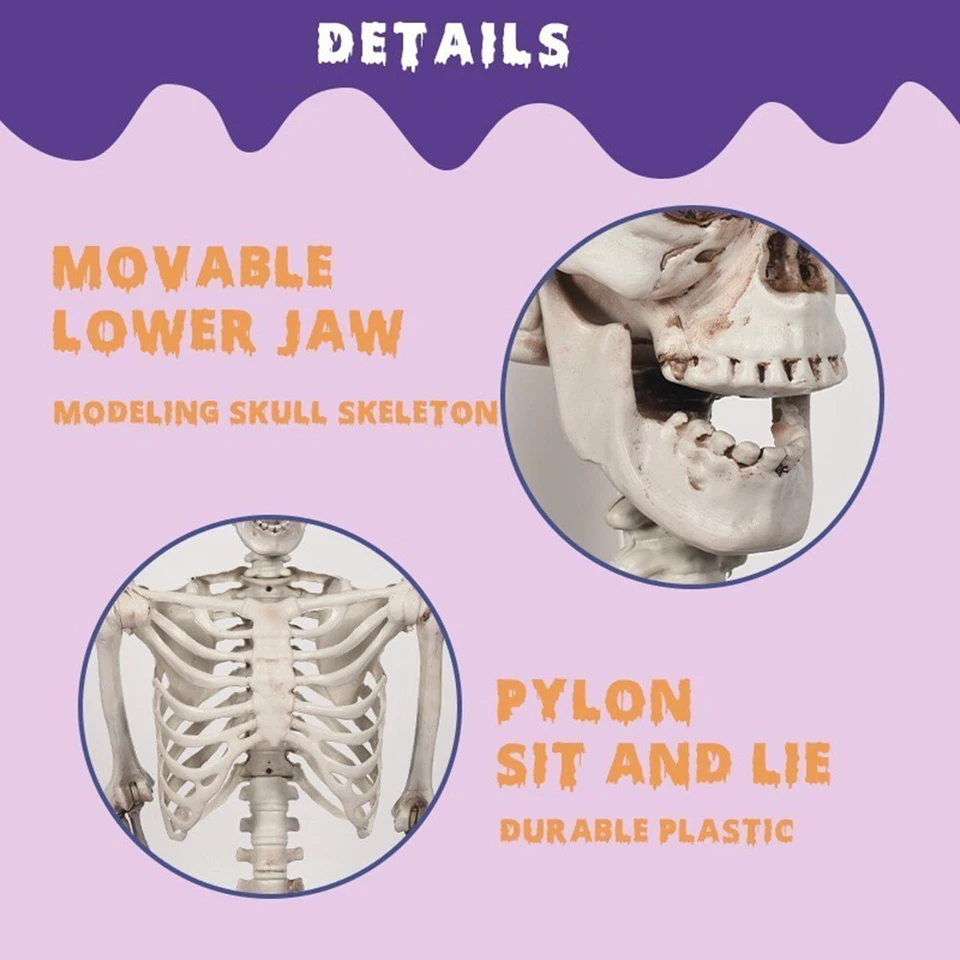 Huesos esqueleto de Halloween de 5,4 pies de cuerpo completo tamaño natural con articulaciones móviles Foto 4 de 4