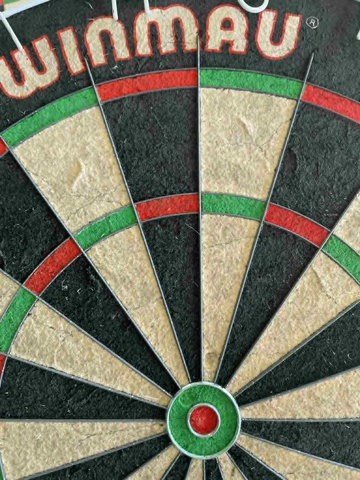 Winmau Blade 4 Professional Level Pig Bristle Dartboard Little Use In Vgood cond - Image 4 of 4