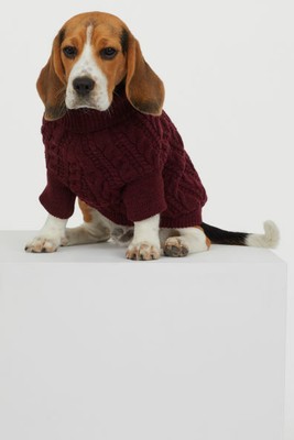 h and m dog sweater