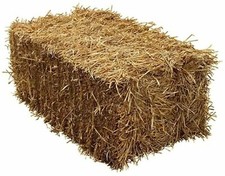Wheat Straw FULL SIZE BALE IN A BOX  EASY STORAGE Wheat Straw ,Horse Animal