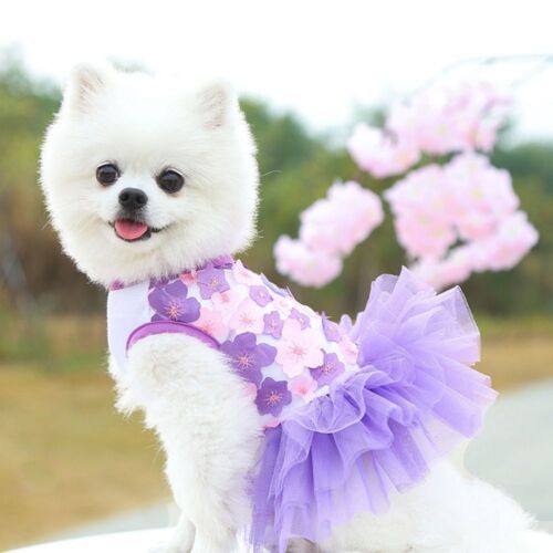 Miś Bichon Materiały imprezowe Sukienka dla psa Kostium zwierzę domowe Ubrania dla szczeniąt Spódnice dla psów - Zdjęcie 1 z 16