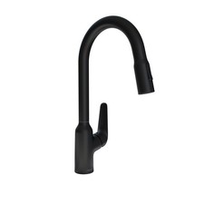 Hansgrohe 71800671 - Kitchen Faucet