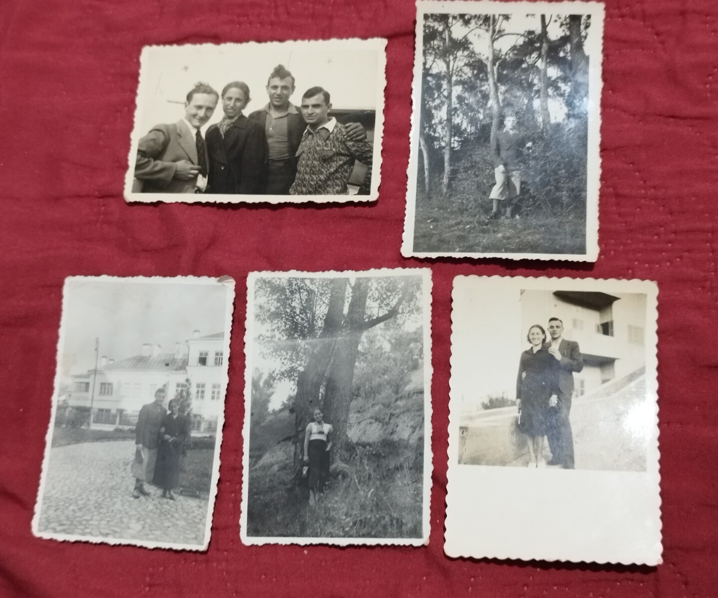 Foto 10 di 17