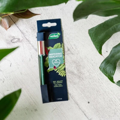Westland Indoor Houseplant Watering Indicator Stick House Plants Easy Use Tool