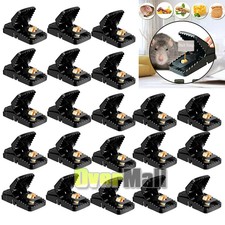 2/4/6/24 Pack Mouse Traps Rat Mice Killer Snap Trap Power Rodent Heavy Duty Pest