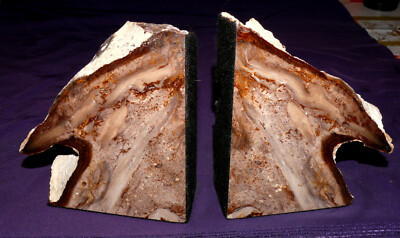 2 Buchstützen fossil. Holz McDermitt Oregon zus. 2099g, je 140x120x42mm mit Filz