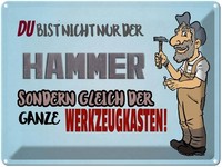 Blechschild 30X40 Cm Du Bist Nicht Nur Der Hammer Spruch Zitat Deko Geschenk Met