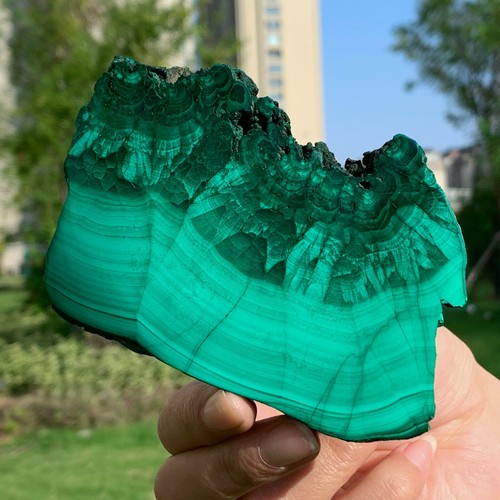 335G Malaquita Natural Brillante Transparente Racimo Muestra Mineral Áspero - Imagen 4 de 19