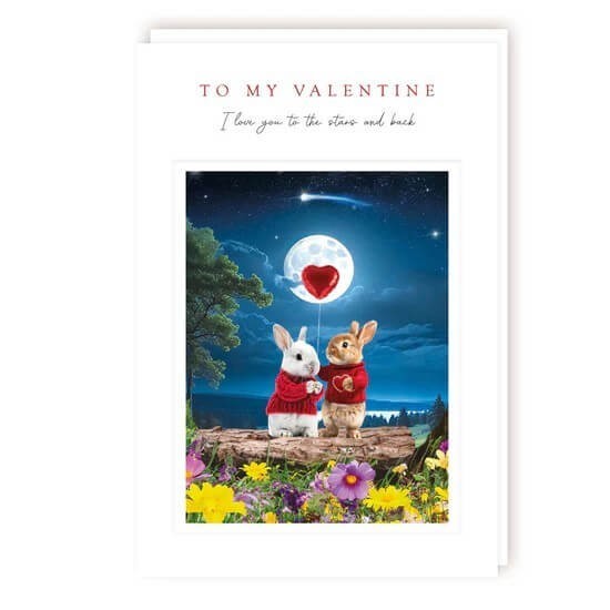 Funny Valentines Card I Love You to Stars and Back - Cute Design Greeting Card