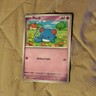 Pokémon Marill Card 073/191 SV08 Paradox Rift Common English Regular 60 HP