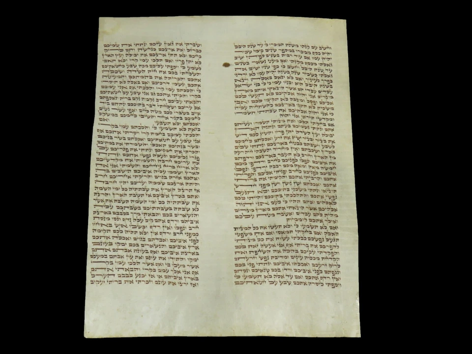 TORAH SCROLL BIBLE MANUSCRIPT FRAGMENT SMALL PARCHMENT 150 YRS POLAND Leviticus - Image 2 of 4