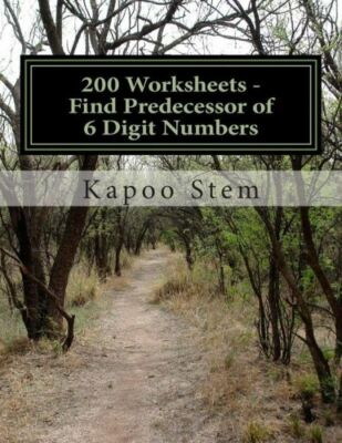 200 Worksheets - Find Predecessor Of 6 Digit Numbers: Math Practice Workbook
