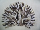(300)-Cockatiel Parrot Body Feathers 2in. & Under 4023 — photo 1
