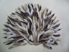 (300)-Cockatiel Parrot Body Feathers 2in. & Under 4023