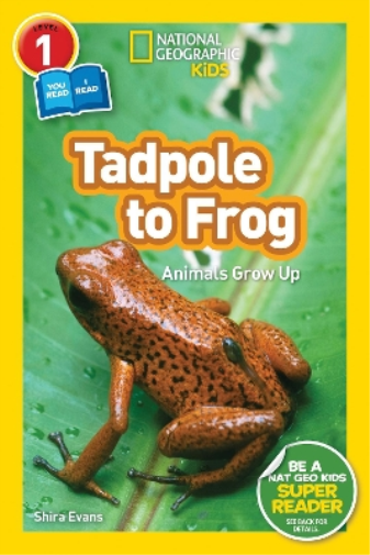 Shira Evans National Geographic Kids Readers: Tadpole to Frog (L1/Co (Tascabile)