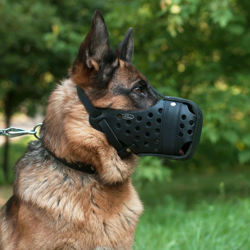 German Shepherd Dog Muzzle Basket for K9 Dog Training Real Leather  Attack-Proof