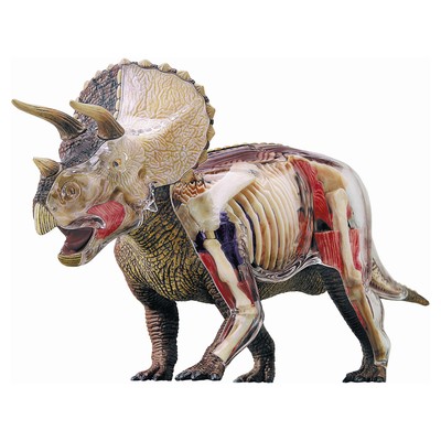 New - 4D Master 4D Vision Triceratops Anatomy Model - Ages 8+ | 1 player