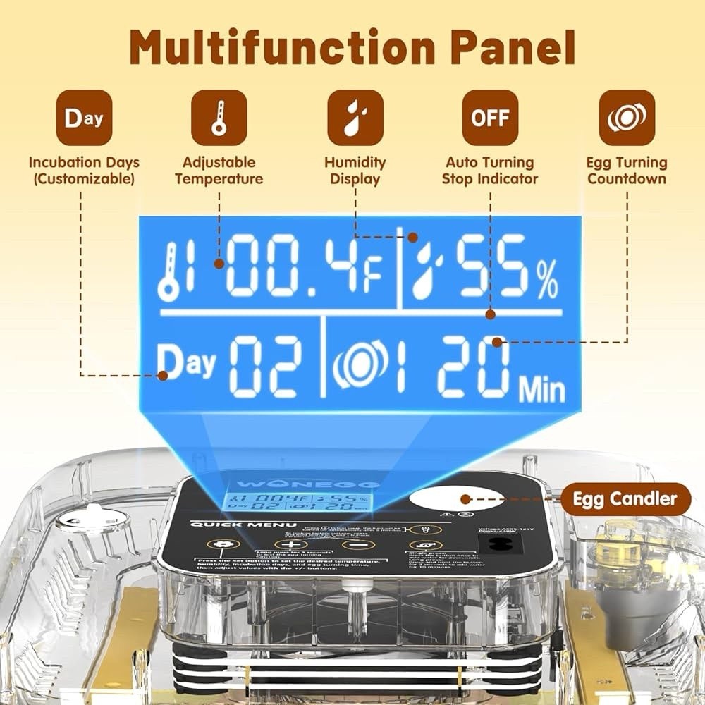 12 Eggs Incubator with Automatic Egg Turning Temperature