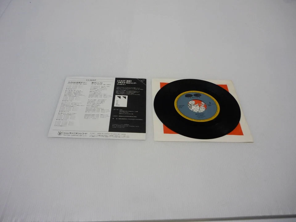 Record Tunnels Big Ode Summer Do It Yourself Toshihiko TBKamizawa 7A0734 V5 - Image 3 of 4