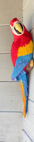 Papagei Ara Gartenfigur Farbe Rot für die Wandbefestigung - Bild 1 von 5