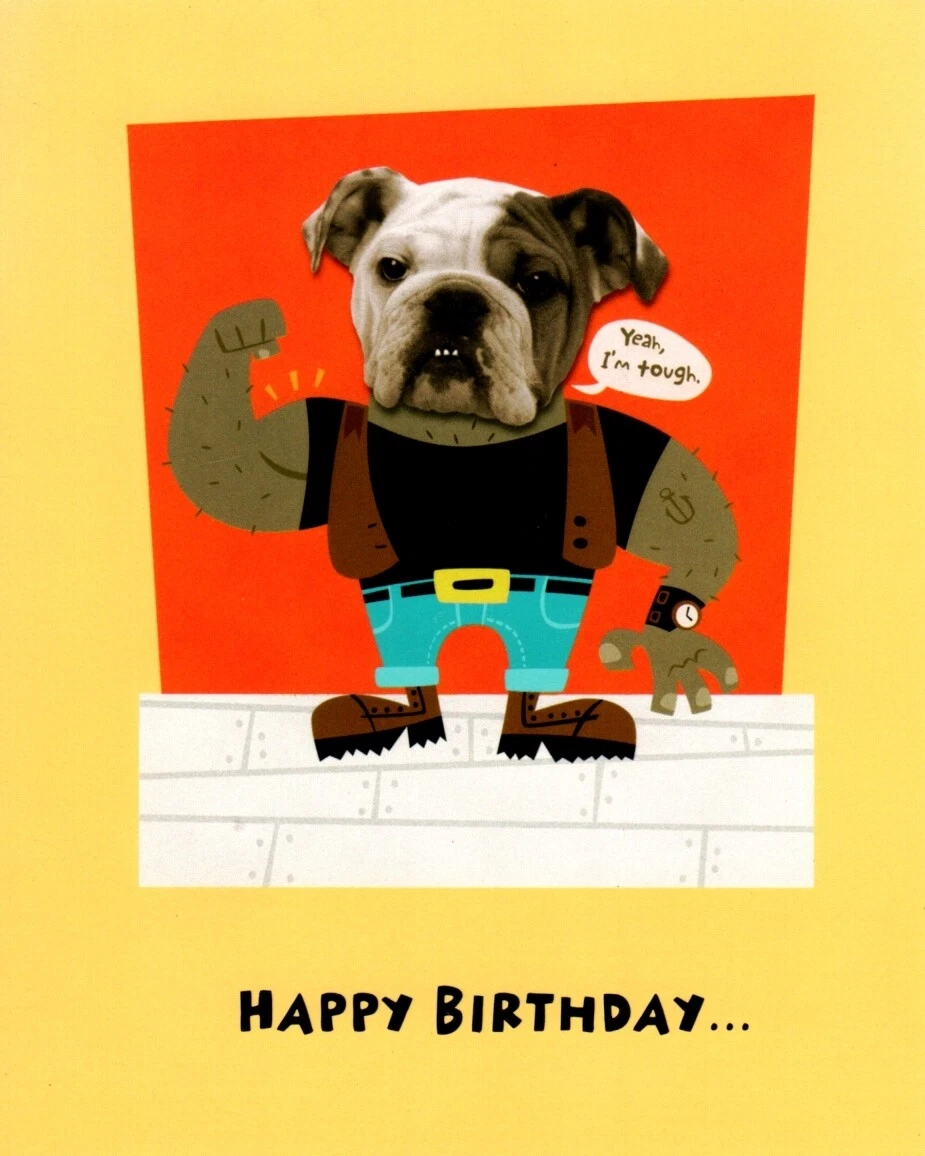 Funny Bulldog Happy Birthday