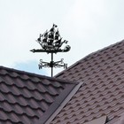 Foto 10 di 12