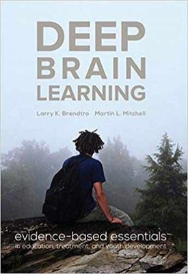 Deep Brain Learning: - Paperback, by Larry K. Brendtro; - Very Good
