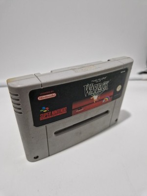 Beware The Ultimate Evil Of The Warlock - SNES MODUL SPIEL GUT PAL