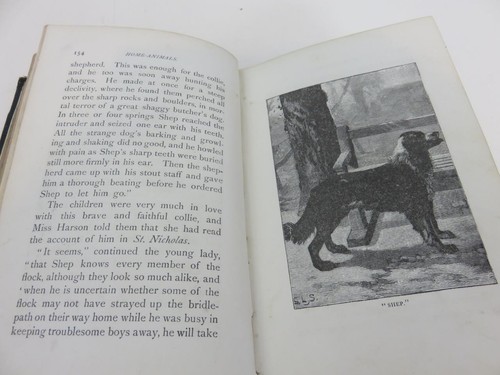 Home Animals by Ella Rodman Church 1st Edition HC 1888 Presbyterian Board - Foto 5 di 7