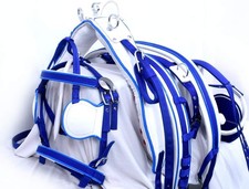 Nylon Webbing Driving Harness Two Tone For Single Horse Blue White Combination