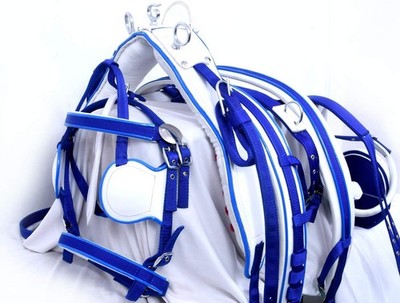 Nylon Gurtband Fahrgeschirr zweifarbig für Einzelpferd blau weiß Kombination