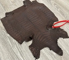 Brown Genuine Caiman Crocodile belly Hide Leather Skin real alligator Croc 397