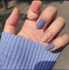 24 Matte multi color Press On Nails short Medium Glue on blue mauve nude muted