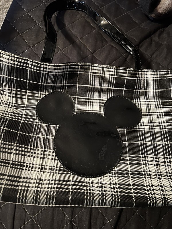 disney purse set