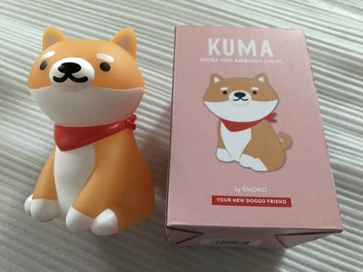 kuma shiba inu