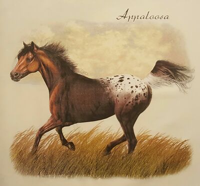 ALL AMERICAN OUTFITTERS HORSES APPALOOSA SHIRT #1261