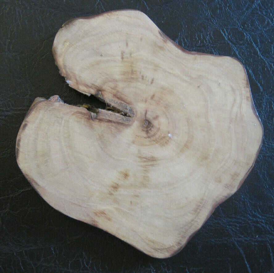 6 New Anthropologie Wood Drink Coaster Beautiful eBay