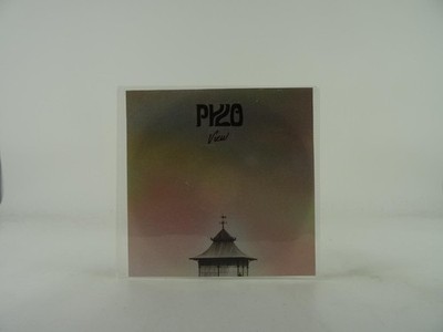 PYLO VIEW (A67) 1 Track Promo CD Single including Picture Sleeve NAIM EDGE