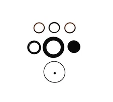 Steering Gear Sector Shaft Seal Kit Replaces 5545381 2589611C 8857 RHS-5545381