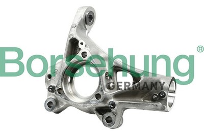 Achsschenkel Radaufhängung Borsehung B18511 für VW BE1 GOLF 5G1 SEAT SKODA AUDI