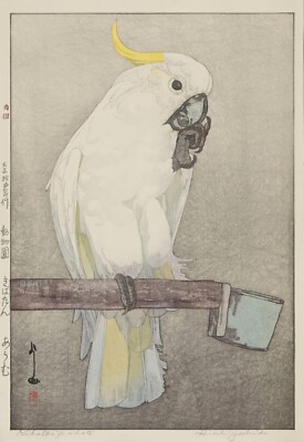 Hiroshi Yoshida   Sulphur-Crested Cockatoo   Bird Woodblock  Art Print   1926