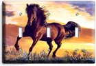 Bild 11 von 34