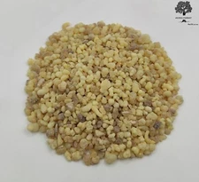Frankincense Resin Small Tears 460 Grams (16.3 oz) - Boswellia papyrifera