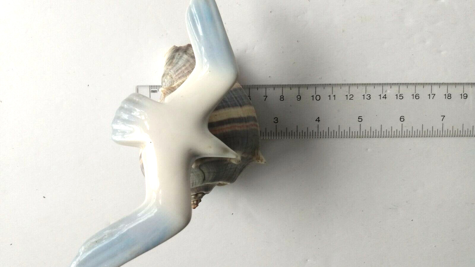 VTG Seagull Shorebird Beach Crown Conch Seashell Art Sculpture by Crowning Touch